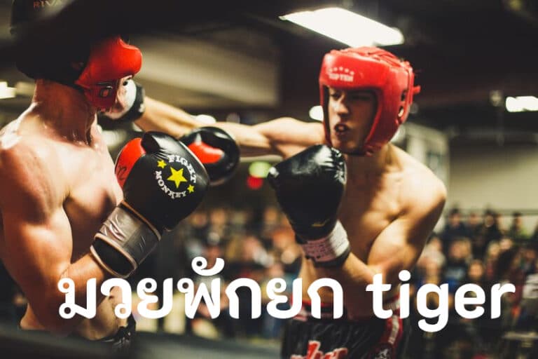 มวยพักยกtiger