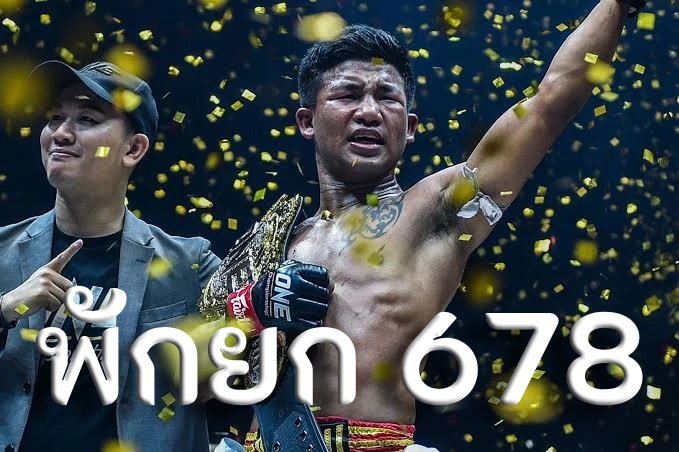 พักนก 678