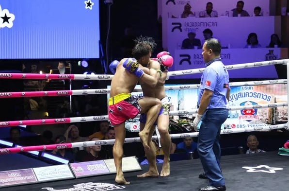 ข่าวมวย ผลมวยไทยพลังใหม่ สู้ศึกโชว์ลูกสอย ชาละวัน ร่วง ยก 4