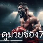 ดูมวยช่อง7 แบบไม่พลาด แนะนำช่องทางดูมวยสดที่มีคุณภาพสูงสุด